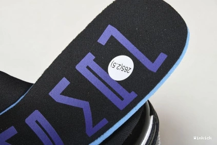 1 SE Jordan Concord Low DV1309-100 0723
